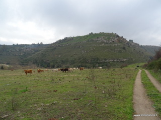 Necropoli Ossena
